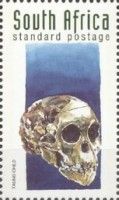 Taung Skull