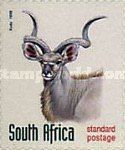 Greater Kudu (Tragelaphus strepsiceros)