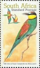European Bee-eater (Merops apiaster)
