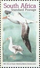 Wandering Albatros (Diomedea exulans)