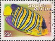 Royal Angelfish (Pygoplites diacanthus)
