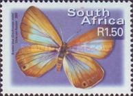 Brenton Blue (Orachrysops niobe)