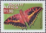 Silver-barred Charaxes (Charaxes druceanus)