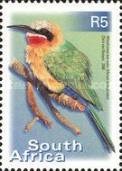 Whitefronted Bee-eater (Merops bullockoides)