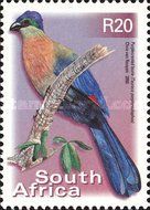 Purple-crested Turaco (Tauraco porphyreolophus)