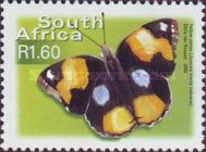 Yellow Pansy (Junonia hierta ssp. cebrene)