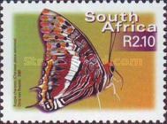 Two-tailed Pasha (Charaxes jasius ssp. saturnus)
