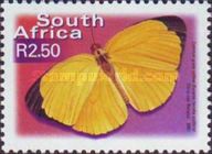 Common Grass Yellow (Eurema hecabe solifera)
