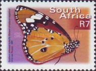 African Monarch (Danaus chrysippus ssp. aegyptius)