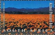 Flowers, Namaqualand