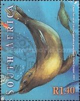 Cape Fur Seal (Arctocephalus pusillus)