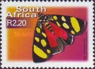 African Peach Moth (Egybolis vaillantina)
