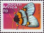 Superb False Tiger (Heraclia superba)