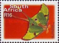 African Moon Moth (Argema mimosae)