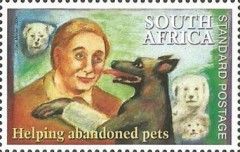 Volunteer with Dogs (Helping abandoned pets)