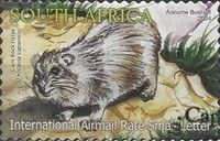Cape Rock Hyrax (Procavia capensis)