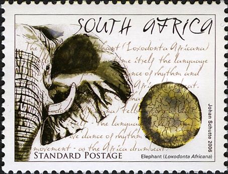 African Elephant (Loxodonta africana)