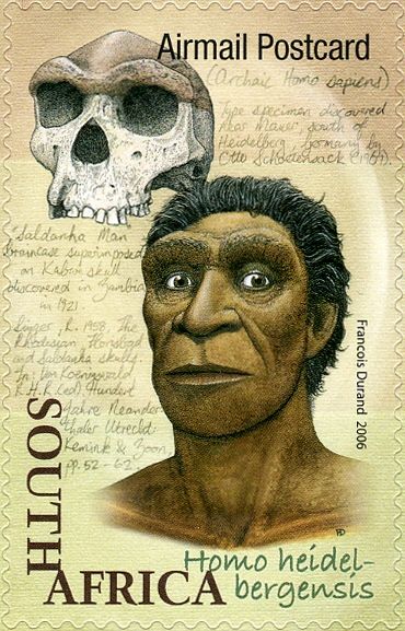 Homo heidelbergensis