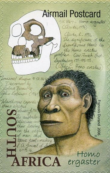 Homo ergaster