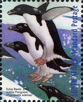 Adélie Penguins (Pygoscelis adeliae)