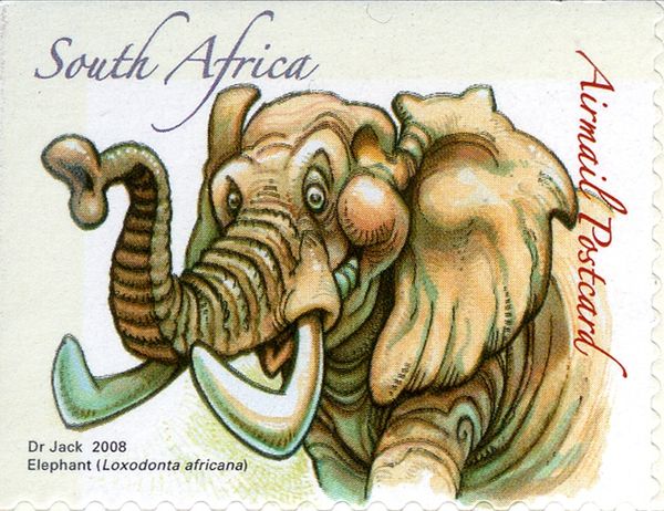 African Elephant (Loxodonta africana)
