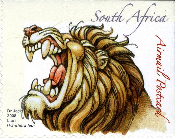 Lion (Panthera leo)