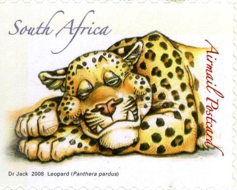 Leopard (Panthera pardus)