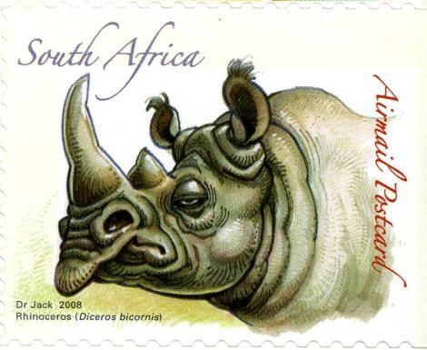 Rhinoceros (Diceros bicornis)