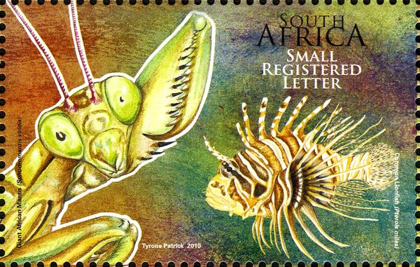 Giant African Mantis, Common Lionfish