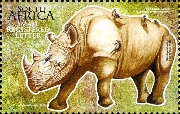 Black Rhinoceros, Red-billed Oxpecker