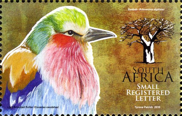 Lilac-breasted Roller, Baobab
