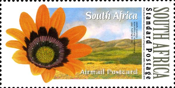 Sunflower (Helianthus annuus)
