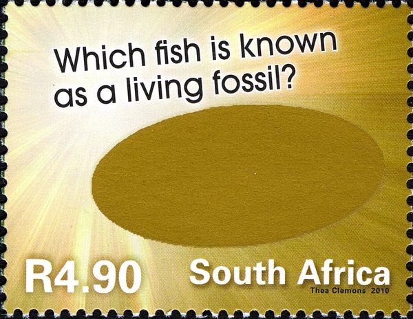 Questions - Fish