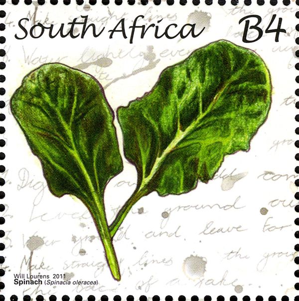 Spinach