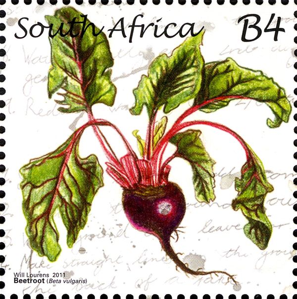 Beetroot
