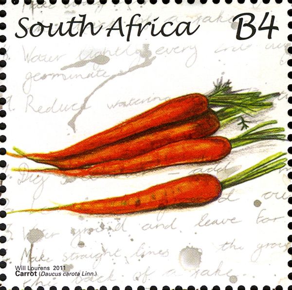 Carrot
