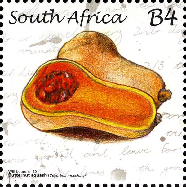 Butternut Squash