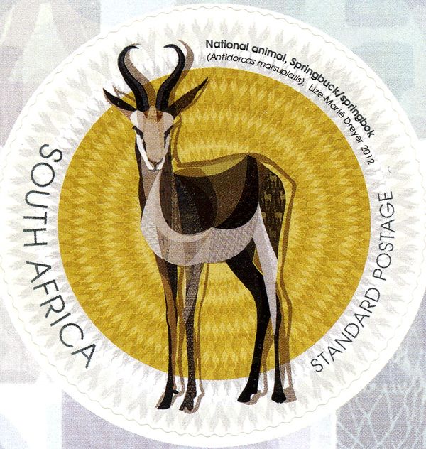 National Animal - Springbok (Antidorcas marsupialis)