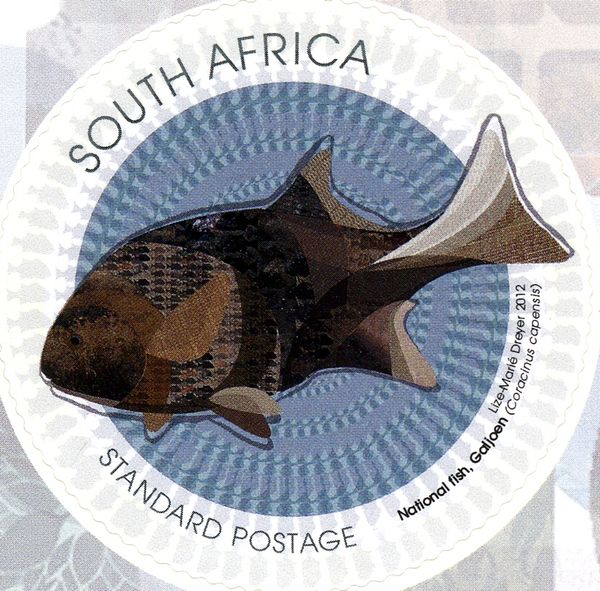 National Fish - Galjoen (Coracinus capensis)