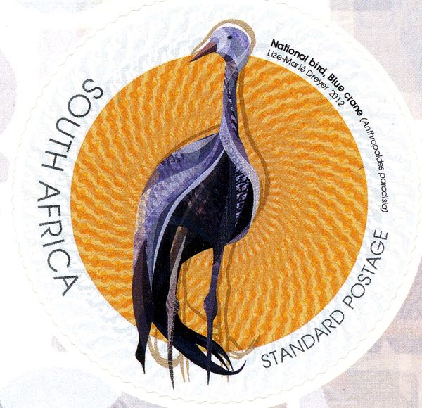 National Bird - Blue Crane (Anthropoides paradisea)