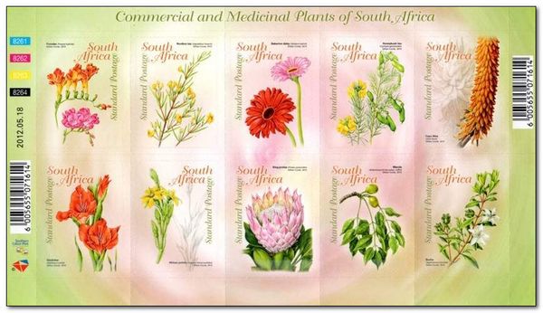Commercial and Medicinal Plants