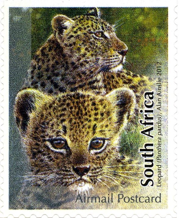 Leopard (Panthera pardus)
