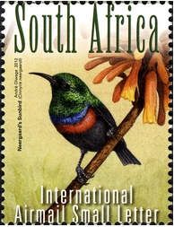 Neergaard's Sunbird (Cinnyris neergaardi)
