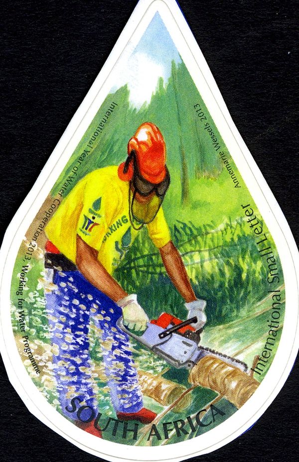 Working for Water Programme