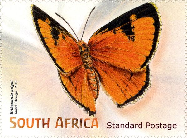 Waterberg Copper (Erikssonia edgei)