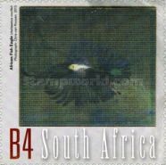 Flight of African Fish Eagle, from m/s