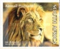 Lion (Panthera leo)