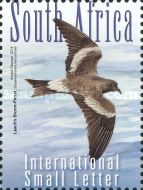 Leach's Storm-Petrel (Oceanodroma leucorhoa)