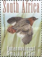 White-winged Flufftail (Sarothrura ayresi)