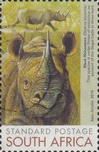 Black Rhinoceros (Diceros bicornis)